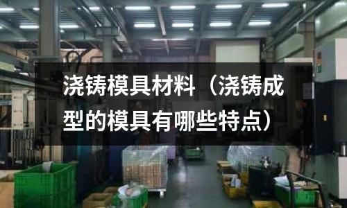 澆鑄模具材料（澆鑄成型的模具有哪些特點）