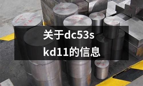 關于dc53skd11的信息