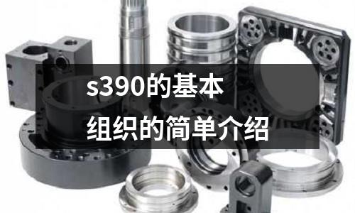 s390的基本組織的簡單介紹