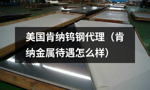 美國肯納鎢鋼代理（肯納金屬待遇怎么樣）