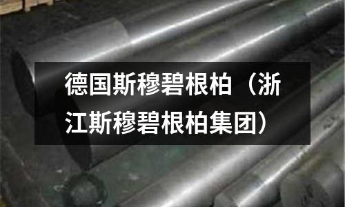 德國斯穆碧根柏（浙江斯穆碧根柏集團）