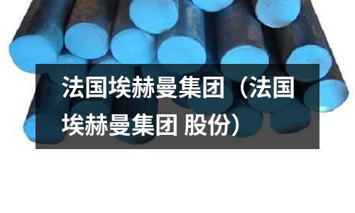 法國埃赫曼集團（法國埃赫曼集團 股份）