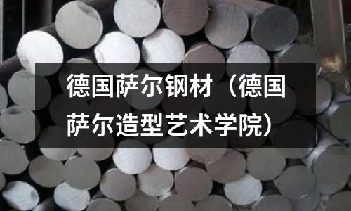德國薩爾鋼材(德國薩爾造型藝術學院)