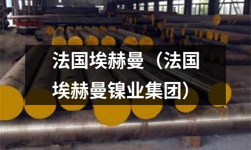 法國埃赫曼（法國埃赫曼鎳業(yè)集團）