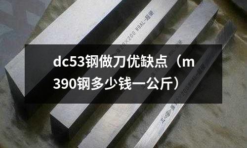 dc53鋼做刀優(yōu)缺點(diǎn)（m390鋼多少錢一公斤）