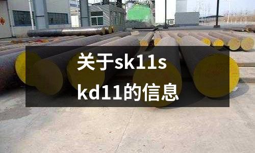 關于sk11skd11的信息