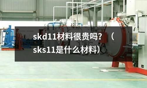 skd11材料很貴嗎？（sks11是什么材料）