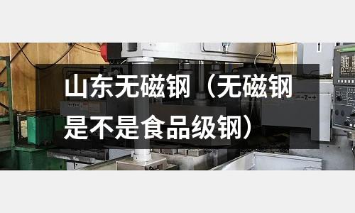 山東無磁鋼（無磁鋼是不是食品級鋼）