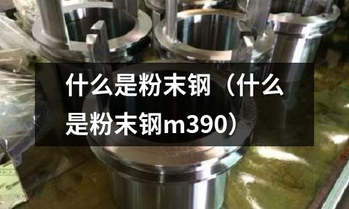 什么是粉末鋼（什么是粉末鋼m390）