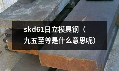 skd61日立模具鋼（九五至尊是什么意思呢）