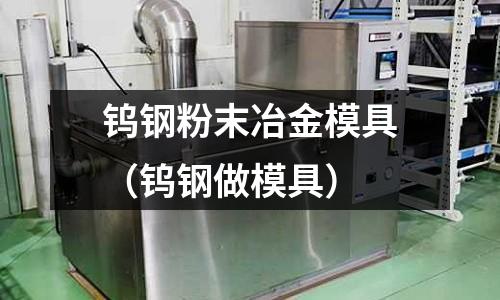 鎢鋼粉末冶金模具（鎢鋼做模具）