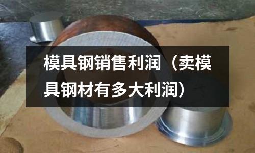 模具鋼銷售利潤（賣模具鋼材有多大利潤）