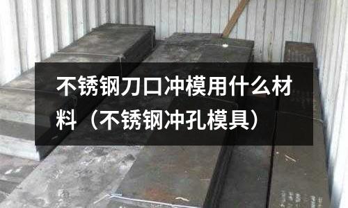 不銹鋼刀口沖模用什么材料(不銹鋼沖孔模具)
