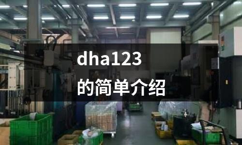 dha123的簡單介紹