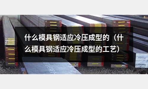 什么模具鋼適應冷壓成型的（什么模具鋼適應冷壓成型的工藝）