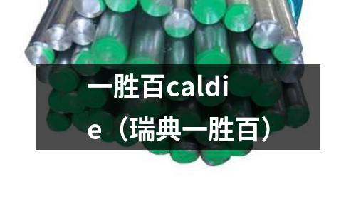 一勝百caldie（瑞典一勝百）