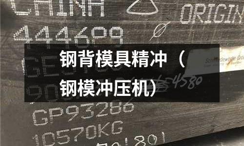 鋼背模具精沖（鋼模沖壓機(jī)）