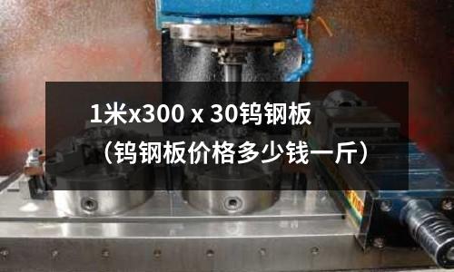 1米x300ⅹ30鎢鋼板（鎢鋼板價格多少錢一斤）