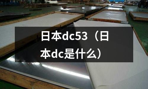 日本dc53（日本dc是什么）