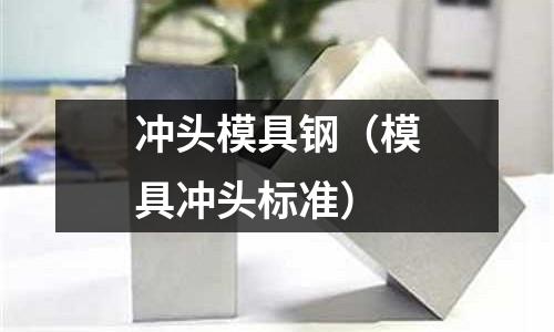 沖頭模具鋼(模具沖頭標準)