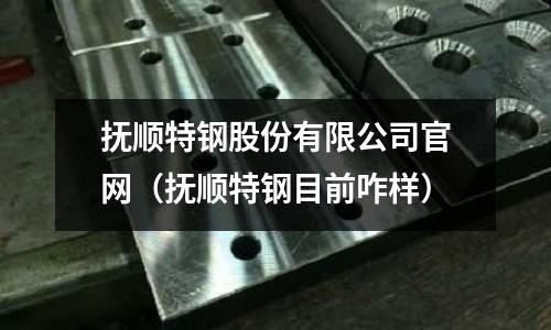 撫順特鋼股份有限公司官網(wǎng)(撫順特鋼目前咋樣)