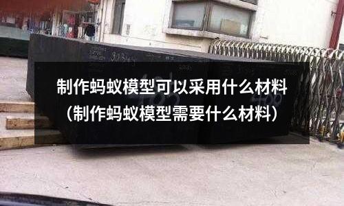 制作螞蟻模型可以采用什么材料（制作螞蟻模型需要什么材料）