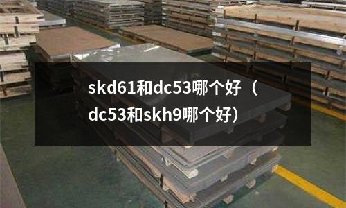 skd61和dc53哪個好(dc53和skh9哪個好)