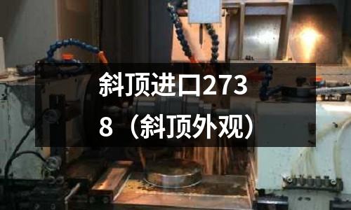 斜頂進口2738(斜頂外觀)