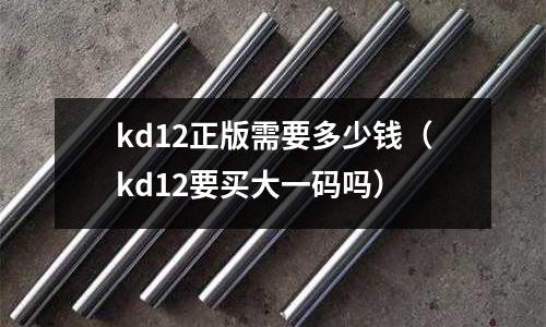 kd12正版需要多少錢（kd12要買大一碼嗎）