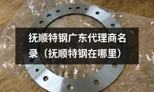 撫順特鋼廣東代理商名錄（撫順特鋼在哪里）