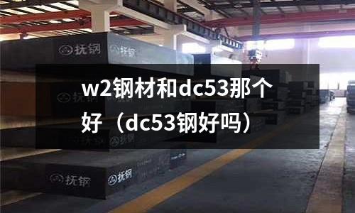 w2鋼材和dc53那個好（dc53鋼好嗎）