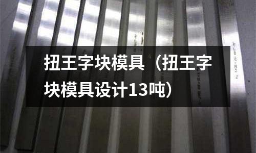 扭王字塊模具(扭王字塊模具設(shè)計13噸)