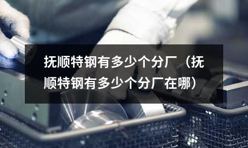撫順特鋼有多少個(gè)分廠(撫順特鋼有多少個(gè)分廠在哪)