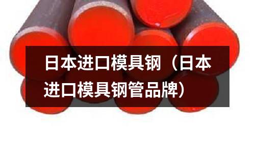 日本進(jìn)口模具鋼(日本進(jìn)口模具鋼管品牌)