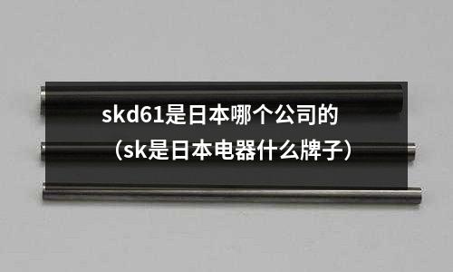 skd61是日本哪個公司的（sk是日本電器什么牌子）