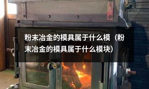 粉末冶金的模具屬于什么模(粉末冶金的模具屬于什么模塊)