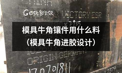 模具牛角鑲件用什么料（模具牛角進膠設計）