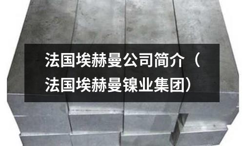 法國埃赫曼公司簡介（法國埃赫曼鎳業集團）