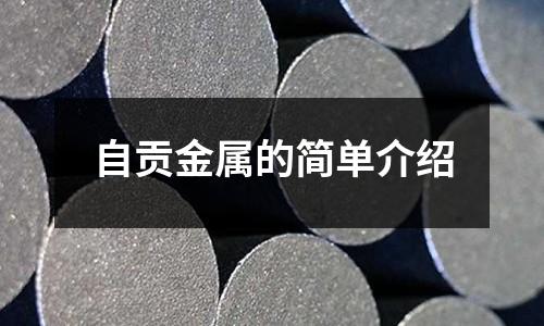 自貢金屬的簡單介紹