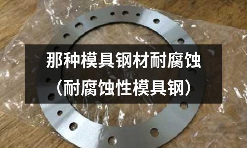 那種模具鋼材耐腐蝕（耐腐蝕性模具鋼）
