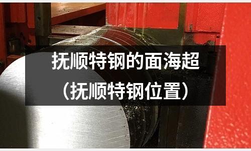 撫順特鋼的面海超（撫順特鋼位置）