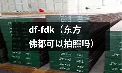 df-fdk(東方佛都可以拍照嗎)