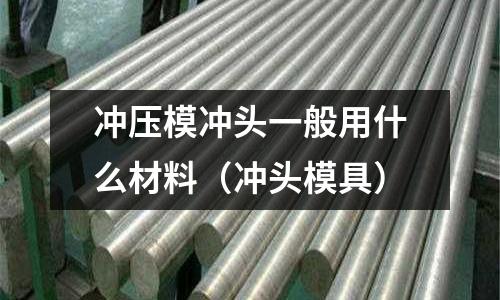 沖壓模沖頭一般用什么材料(沖頭模具)