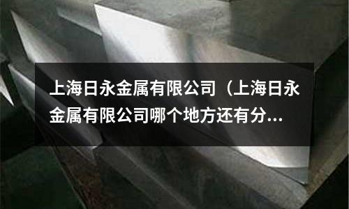 上海日永金屬有限公司（上海日永金屬有限公司哪個地方還有分廠）