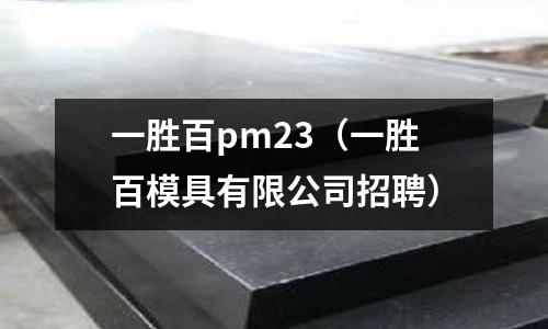 一勝百pm23（一勝百模具有限公司招聘）