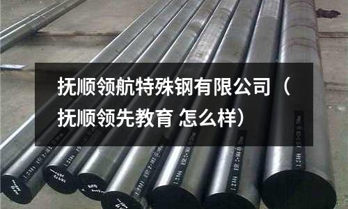 撫順領(lǐng)航特殊鋼有限公司（撫順領(lǐng)先教育 怎么樣）
