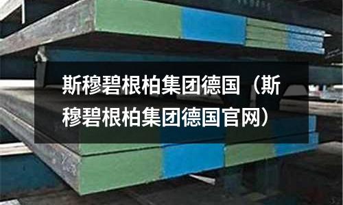 斯穆碧根柏集團德國（斯穆碧根柏集團德國官網）