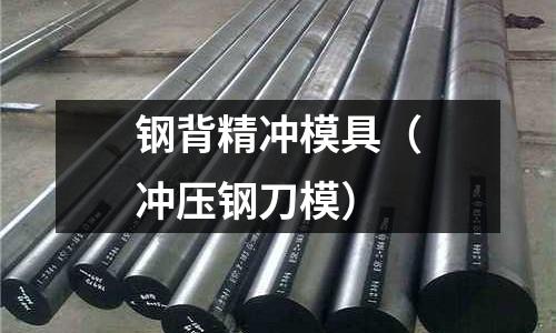 鋼背精沖模具（沖壓鋼刀模）