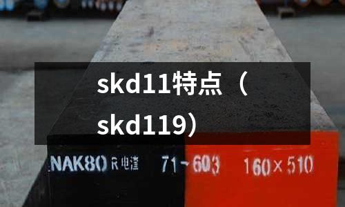 skd11特點（skd119）