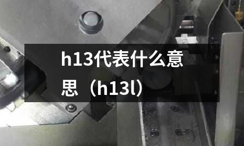 h13代表什么意思（h13l）